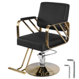 Barber Chair Capacity 420 Lbs Hair Salon Chair with Heavy Duty Hydraulic Pump 360 Swivel