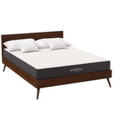 Aveline 8 Gel Infused Memory Mattress w/ CertiPURUS Certified Foam  Queen