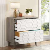 Tribesigns 2-Drawer File Cabinet, Lateral Filing Cabinet for A4/Letter/Legal Size, Office Storage Cabinet