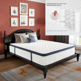 10/12/14 Inch Queen Size Hybrid Mattress, Medium Firm for Pressure Relief