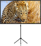 80 Inch Portable Projector Screen with Stand for Outdoor Movies, Lightweight