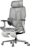 Ergonomic Office Chair, Big and Tall Office Chair