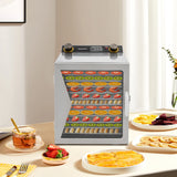 110V 800W Food Dehydrator Machine,12-Tier Visible Food Dryer,Stainless Steel