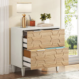 Tribesigns 2-Drawer File Cabinet, Lateral Filing Cabinet for A4/Letter/Legal Size, Office Storage Cabinet