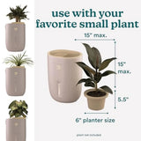 Natura Ultrasonic Warm and Cool Mist Humidifier, 1.3-Gal for Large Rooms, 60-Hr Runtime, Plant Holder, Programmable Humidity, A