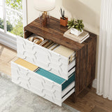 Tribesigns 2-Drawer File Cabinet, Lateral Filing Cabinet for A4/Letter/Legal Size, Office Storage Cabinet