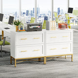 Tribesigns 2 Drawer File Cabinet, Modern Lateral Filing Cabinet for Letter