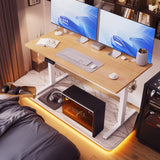 JHK 63x24 Inch Electric Standing Desk Ergonomic Height Adjustable