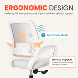 Ergonomic Mesh Office Chair with Lumbar Support Adjustable Height Swivel Wheels