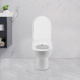 Non-Electric Bidet Toilet Seat Dual Nozzle System White Fits