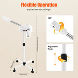 Ozone Facial Steamer Professional Skin Care Equipment for Salon