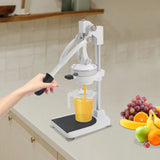 Manual Juicer, Efficient Fruit Juice Extraction Machine,304 Food-Grade Stainless Steel