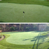 Pro Putting Green Golf Artificial Grass Turf 3FTX11FT for Indoor Outdoor Golf