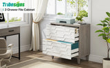 Tribesigns 2-Drawer File Cabinet, Lateral Filing Cabinet for A4/Letter/Legal Size, Office Storage Cabinet