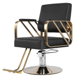 Barber Chair Capacity 420 Lbs Hair Salon Chair with Heavy Duty Hydraulic Pump 360 Swivel
