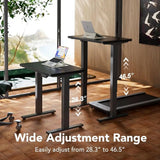 48x24 Adjustable Height Standing Desk, 4 Memory Settings, Cable Management