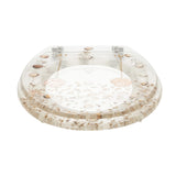 Beautiful Resin Toilet Seat Cover Stainless Steel Slow Down