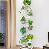 8 Tier Metal Plant Stand Metal Rack, Multiple Flower Pot Holder Shelves Corner Rack, Plante