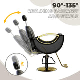 Commercial Barber Chair Reclining & 360° Swivel, Heavy Duty Hydraulic S