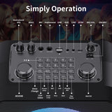 Black Karaoke Speaker W/ Treble/Bass Adjustment,  2 Wireless Microphones