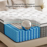 14 Inch Hybrid Queen Mattress in a Box - Memory Foam & Pocket Springs