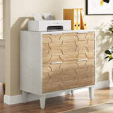 Tribesigns 2-Drawer File Cabinet, Lateral Filing Cabinet for A4/Letter/Legal Size