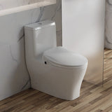 Smart Bidet Toilet Seat with Remote and Lighted,for Elongated Toilets,Soft Close and Instant Heated,