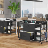 44" File Cabinet, Filing Cabinets fits Legal, Letter, A4 Size, 2 Drawer Office