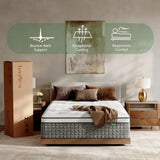 14 Inch Hybrid Queen Mattress in a Box - Memory Foam & Pocket Springs