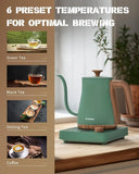 Electric Kettle 1000W Quick Heating Gooseneck, 0.8L 304 Stainless Steel, Auto Shut-Off