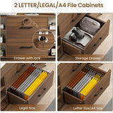 44" File Cabinet, Filing Cabinet fits Legal/Letter Size, 2 Drawer File Cabinets