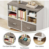 2Drawer Wood File Cabinet Mobile Lateral Filing Cabinet for Hanging Letter Size Files Printer Stand