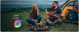 FanFun Bluetooth Karaoke Speaker, Wireless Portable Speaker with 2 Microphone