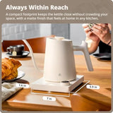 Electric Gooseneck Kettle, 1200W Stainless Steel with Precision Temperature Control