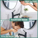 Bathroom sink faucet with pull-out sprayer matte black finish modern single-handle design with pop-up drain stopper
