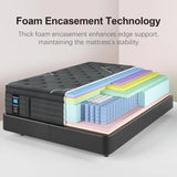 Hybrid Memory Foam Twin Size Mattress, Lumbar Support for Back Pain Relief