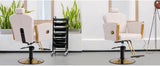 Height Adjustable Salon Chair for Hair Sylist, Reclining Salon Hair Chairs, Hydraulic Barber Chair, 360 Degree Swivel Shampoo Chairset