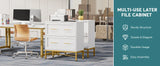 Tribesigns 2 Drawer File Cabinet, Modern Lateral Filing Cabinet for Letter