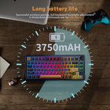 RK Royal Kludge H81 Gasket Structure Mechanical Keyboard 81 Key