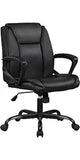 PayLessHere Black Mesh Office Chair Adjustable Lumbar Support Armrest
