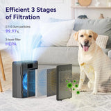 Quiet Air Purifier for Home, Covers 1500 Sq Ft, HEPA Filter for Pet Hair