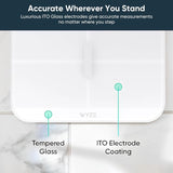 Smart Scale X Digital Bathroom Scale for Body Weight, BMI, Body Fat, Muscle Mass, Heart Rate Monitor |