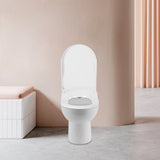 White D-Type PP Non-Electric Bidet Toilet Seat for Elongated