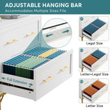 Tribesigns 2 Drawer File Cabinet, Modern Lateral Filing Cabinet for Letter