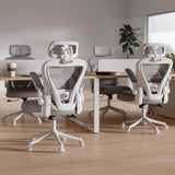 High Back Ergonomic Office Chair M903, Mesh Computer Desk Chair with Wheels
