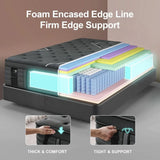 14 Inch Extra Firm Memory Foam Hybrid Mattress with Extra Lumbar Support