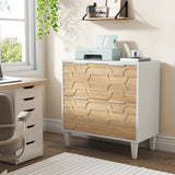 Tribesigns 2-Drawer File Cabinet, Lateral Filing Cabinet for A4/Letter/Legal Size, Office Storage Cabinet