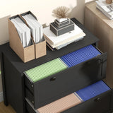 Lateral File Cabinet, 2 Drawer Filing Cabinet with Adjustable Hanging Bar for Letter