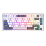 RK Royal Kludge H81 Gasket Structure Mechanical Keyboard 81 Key