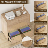 3-Drawer Rattan File Cabinet, A4 Size Hanging Files, Large Wooden Printer Stand for Home Office